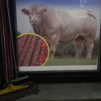 شاگرد برای قصابی جگرکی