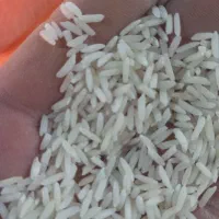 برنج‌هاشمی‌‌ونیمدانه‌هاشمی