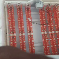 دستگاه جوجه کشی ۸۴ تایی|لوازم جانبی حیوانات|میبد, |دیوار