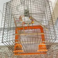 قفس پرنده|لوازم جانبی حیوانات|تهران, فردوس|دیوار