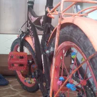 دوچرخه سایز ۱۶محکم وسالم|دوچرخه، اسکیت، اسکوتر|بجنورد, |دیوار