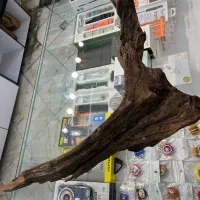 چوب آبنوس|ماهی|تهران, افسریه شمالی|دیوار