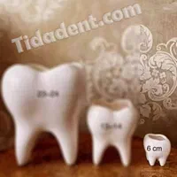 همکار دستیار دندانپزشکی