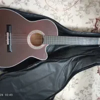 گیتار دیاموند