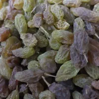 کشمش سبز وکشمش پلویی|خوردنی و آشامیدنی|اندیشه, اندیشه فاز ۳|دیوار