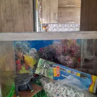 آکواریوم شیشه جلوخم