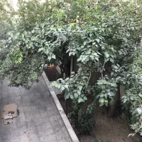 ملک کلنگی چهارراه استقلال