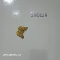 یخچال|یخچال و فریزر|تربت جام, شهرک آزادگان|دیوار