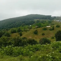 لیدرمحلی|فعالیت داوطلبانه تحقیقاتی|تهران, زعفرانیه|دیوار