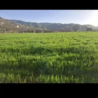 زمین کشاورزی به متراژ۵هزارمتر