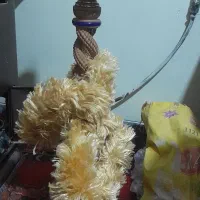 قیلون میوه ای|کلکسیون و سرگرمی|فولادشهر, A4|دیوار