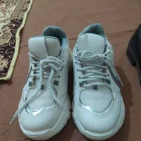 کتونی|کیف، کفش، کمربند|محمدشهر, ولدآباد|دیوار