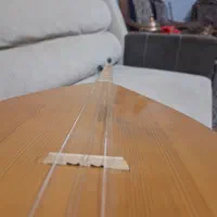 دیوان خوش صدا سالم|سازهای سنتی|سنندج, |دیوار