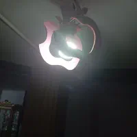 لوستر آشپزخانه و جاکفشی هردو سالم