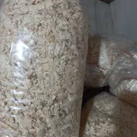 پخش پوشال و اره خاک با کمترین قیمت|عمدهفروشی|رشت, حمیدیان|دیوار