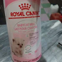 شیر خشک گربه رویال کنین وخاک گربه