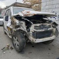 نیازمند نقاش ماهر