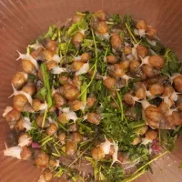 حلزون آلبینو - خواص پوستی حیرت انگیز