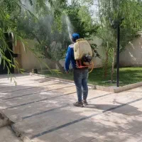 سمپاشی و باغبانی گل کاری هرس کاری