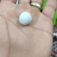 سنگ آسیاب|جواهرات|مشهد, طرق|دیوار