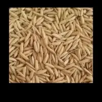 برنج چلتوک طارم اصل چرام