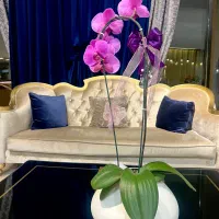 36متر-دهم-فروردین-تکواحدی-طبقه-3-تکخواب