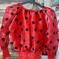 شومیز شیک|لباس|اردبیل, |دیوار