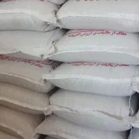 گندم  بذری|عمده‌فروشی|اهواز, زیتون کارمندی|دیوار