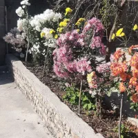 اجاره ویلا باغ بهشت