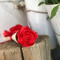 ثبت سفارش دسته گل های رز ربانی