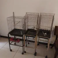 قفس پرنده