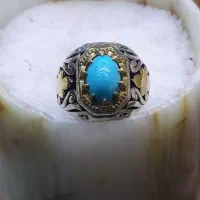 فیروزه عجمی رکاب شاکری