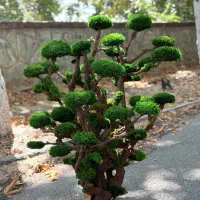 نیروی تولید گیفت های خزه ای|استخدام صنعتی، فنی، مهندسی|تهران, جماران (نیاوران)|دیوار