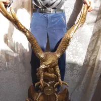 مجسمه عقاب طلایی|مجسمه، تندیس، ماکت|مشهد, بهمن|دیوار