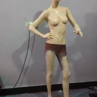 مانکن زنانه|فروشگاه و مغازه|بندر امام خمینی, |دیوار