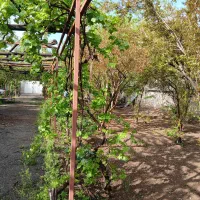 فروش باغ ۱۶۰۰ متر فردیس کرج