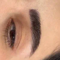 میکروبلیدینگ ابرو و شیدینگ لب|خدمات آرایشگری و زیبایی|رشت, معلم|دیوار