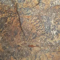 سنگ شجر|کلکسیون اشیاء عتیقه|خرمدره, |دیوار