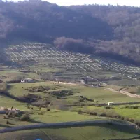 فروش-زمین-400-متر-کلاردشت-منطقه-ازو