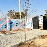 باغچه چسب مسکونی نهال اصلاح شده