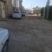 اسکلت کرونی