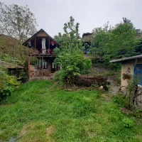 سوئیت بومگردی اجاره ویلا جنگلی