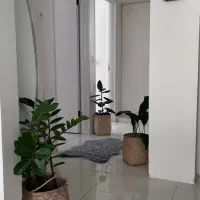 سبدهای حصیری بدون گیاه کاملا سالم