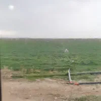 اجاره-زمین-کشاورزی