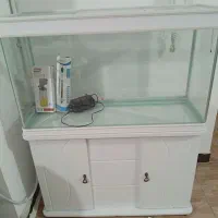 اکواریوم شیشه خم اکبند یک متری|ماهی|خرمآباد, |دیوار