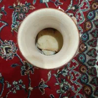 گلدان|گل و گیاه طبیعی|اصفهان, عاشقآباد|دیوار