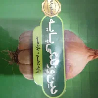 کتاب درسی|کتاب و مجله آموزشی|فردوس (خراسان), |دیوار