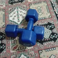 دمبل ورزشی|تجهیزات ورزشی|تهران, صادقیه|دیوار