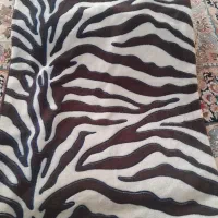 روبالشتی|رختخواب، بالش، پتو|پاکدشت, حصار امیر|دیوار