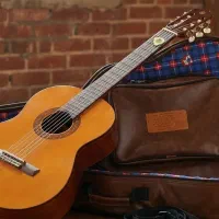 گیتار یاماها|گیتار، بیس، امپلیفایر|سهند, |دیوار